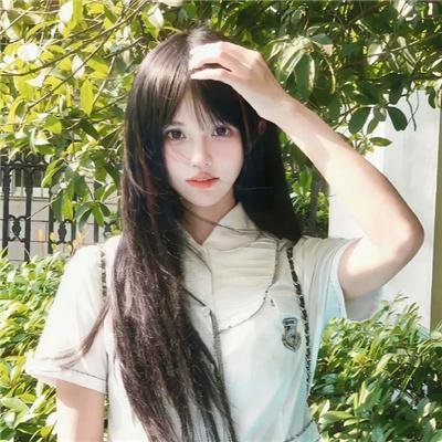 良陈美锦